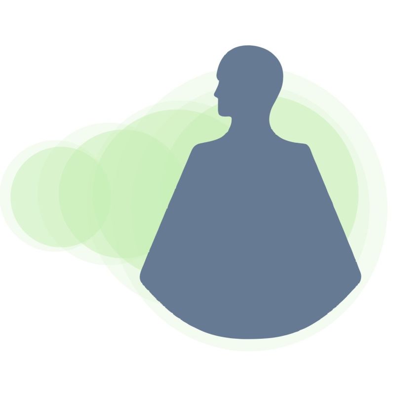 Projektor